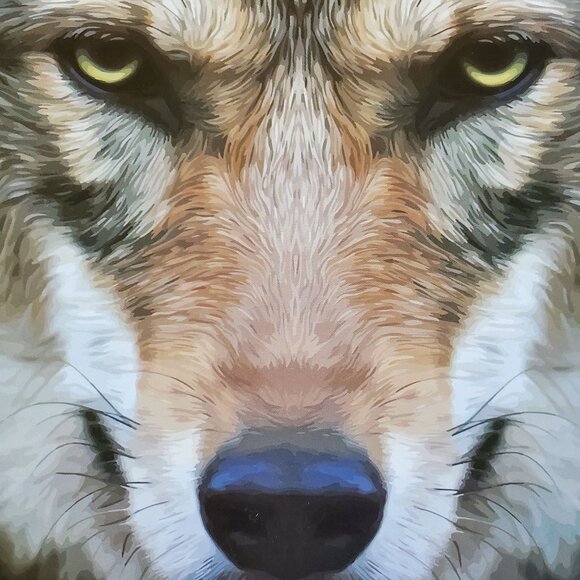 Black Canyon Gear Queen Blanket Wolf Design 85.5" x 75" Soft & Cozy Bedding - Picture 3 of 5